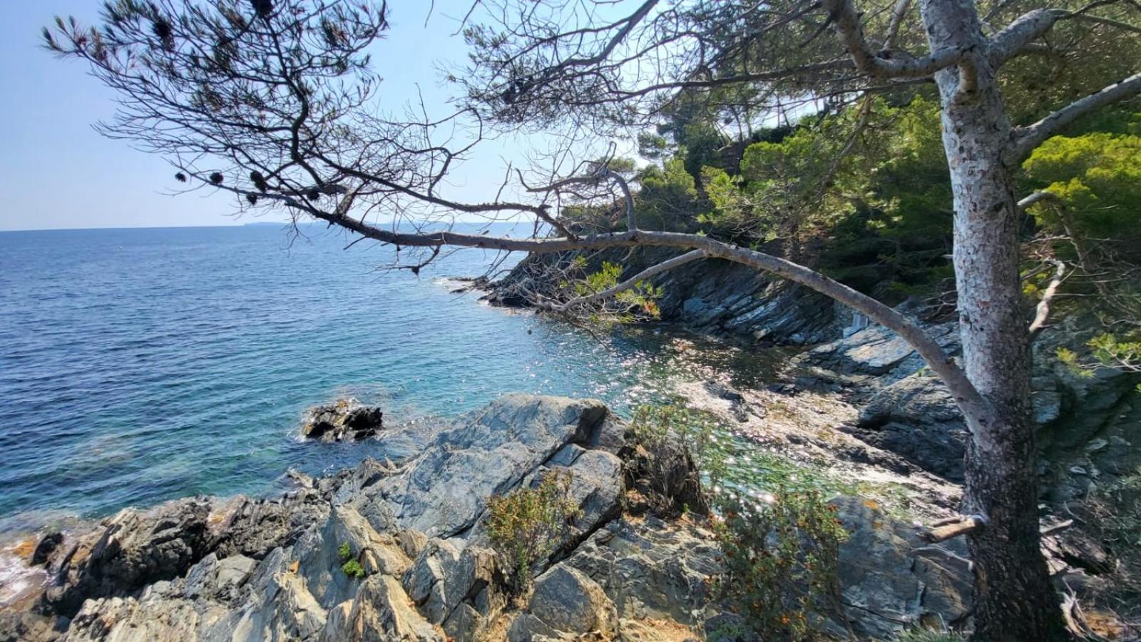 Apartamento Golfe De Saint Tropez Terrasses De Sylvabelle Gigaro La Croix-Valmer Exterior foto